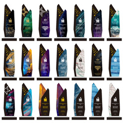 Enterprise Curve Award - Mediun