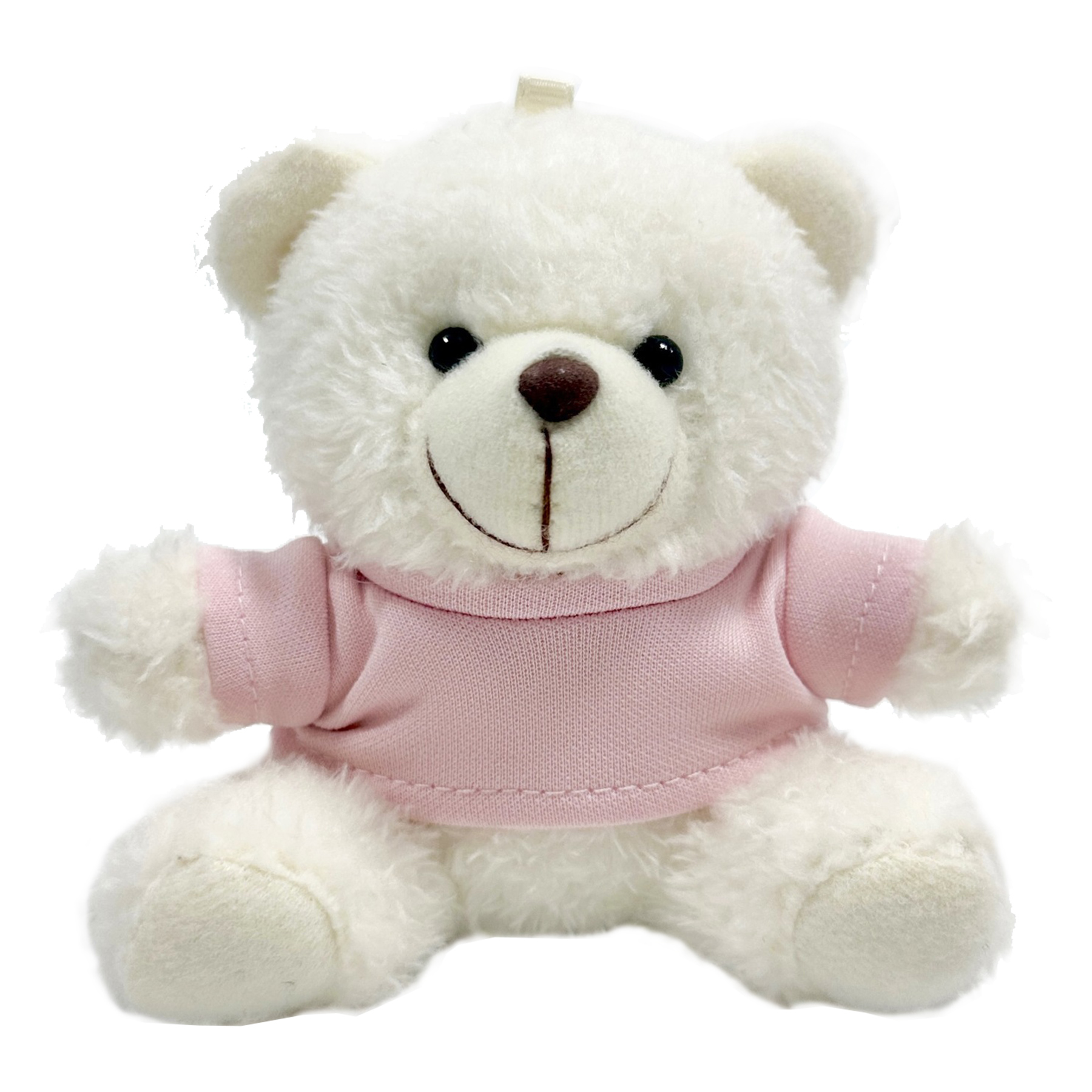 Fluffy Teddy Bear Plush Doll with Keychain Charm 10