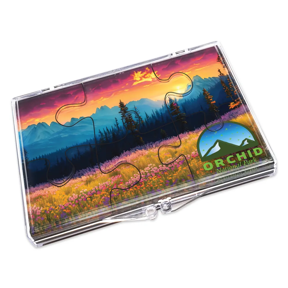 Acrylic Puzzle 11