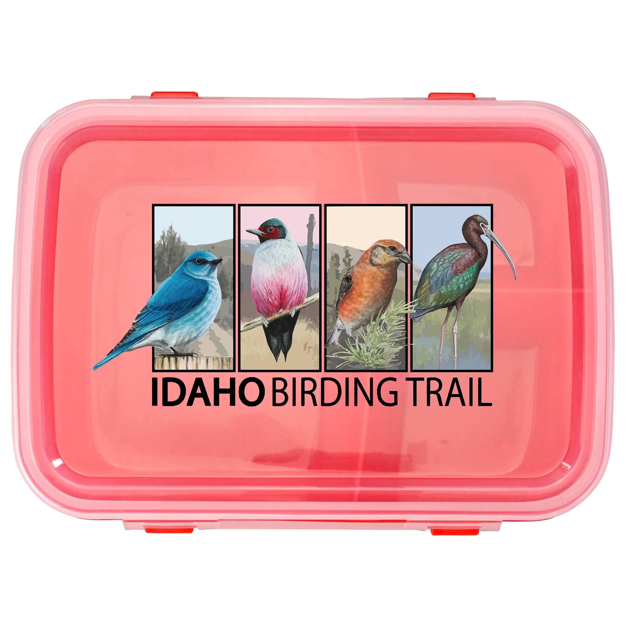 Full Color Lunch To Go Container 55