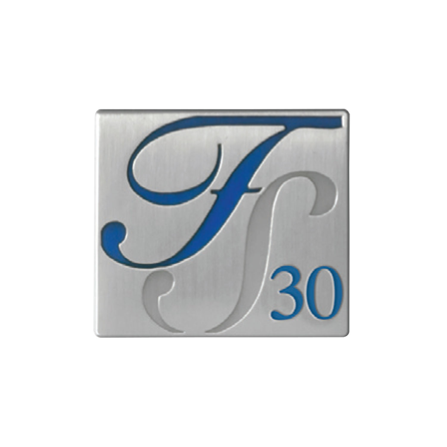 Vip Lapel Pins - Die Struck