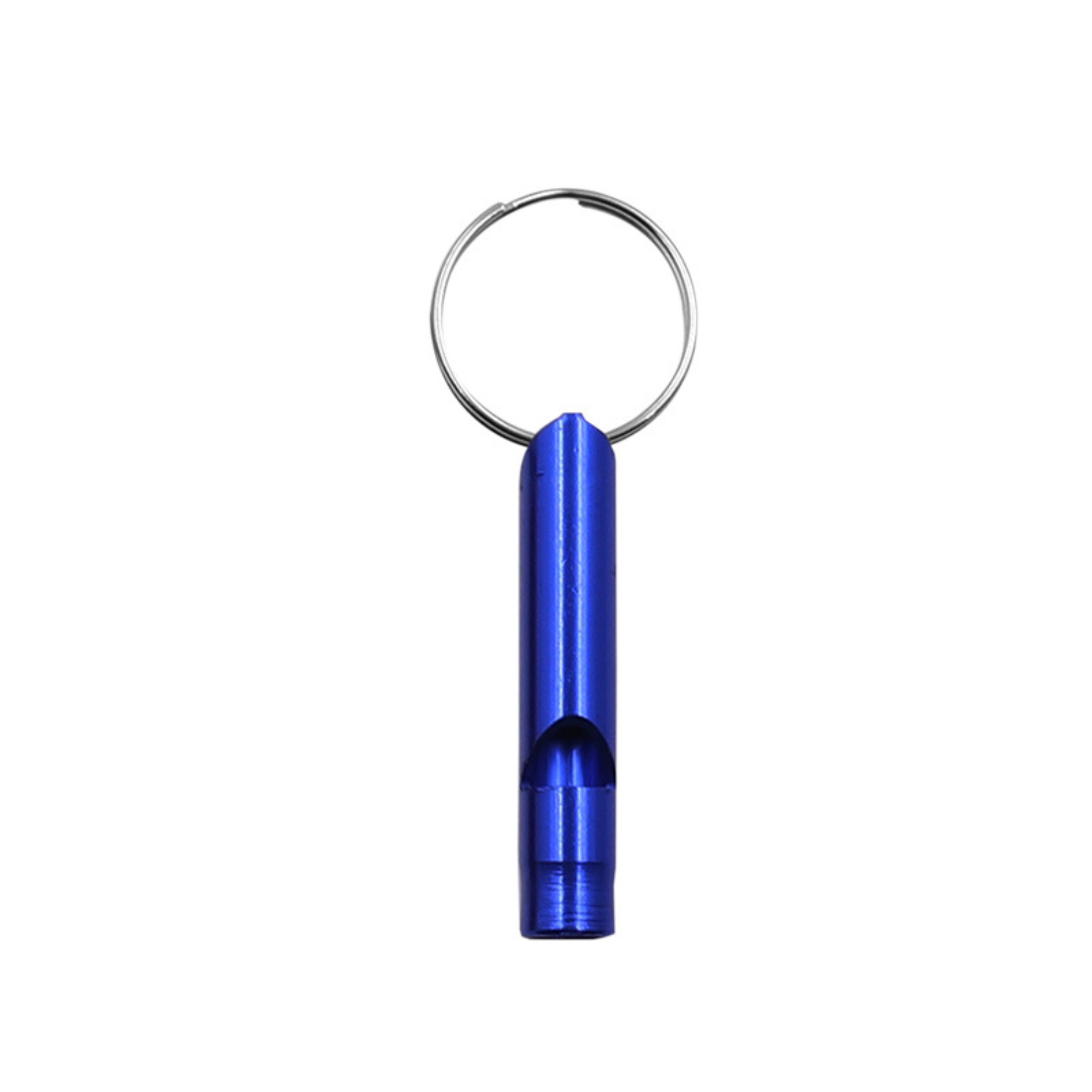 Extra Loud Whistle 13