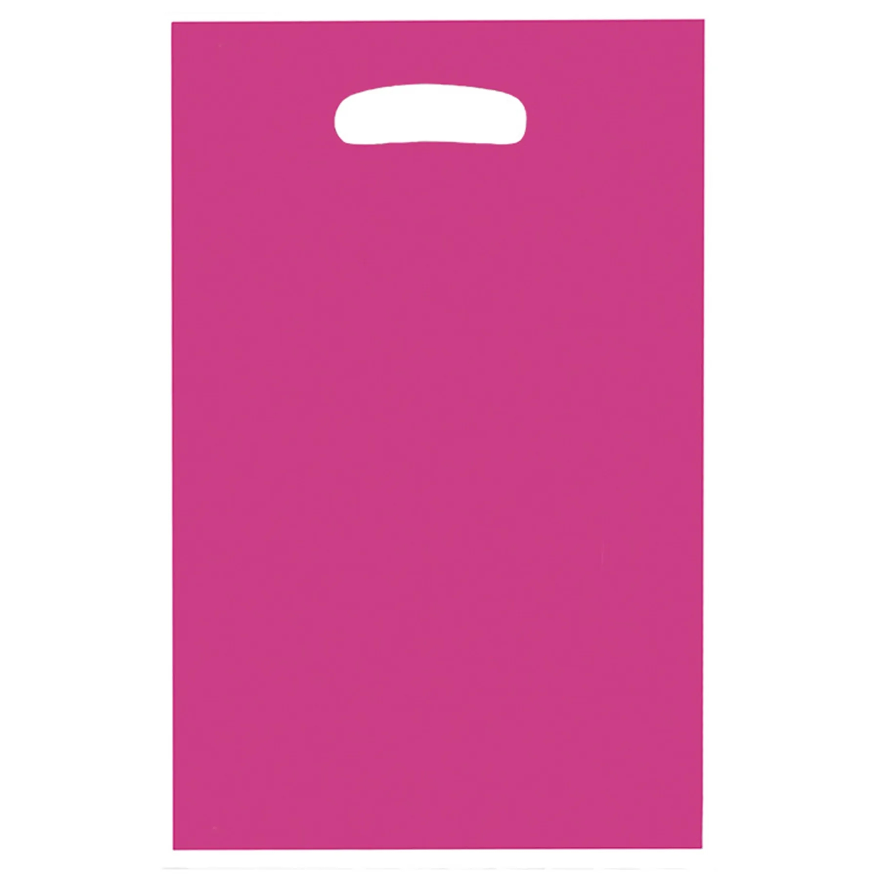 Plastic Shopping Merchandise Gift Bag 28