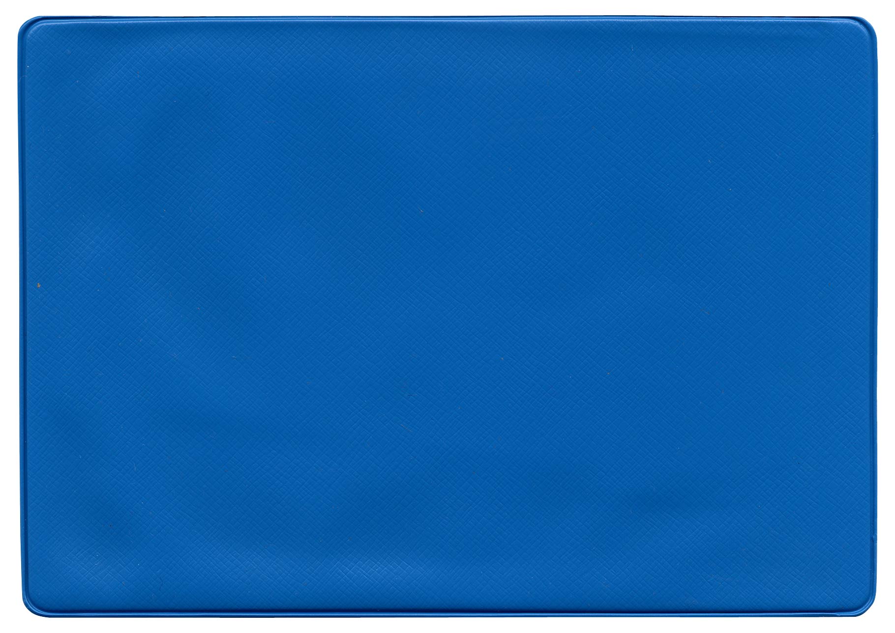 Insurance Card Holder 31