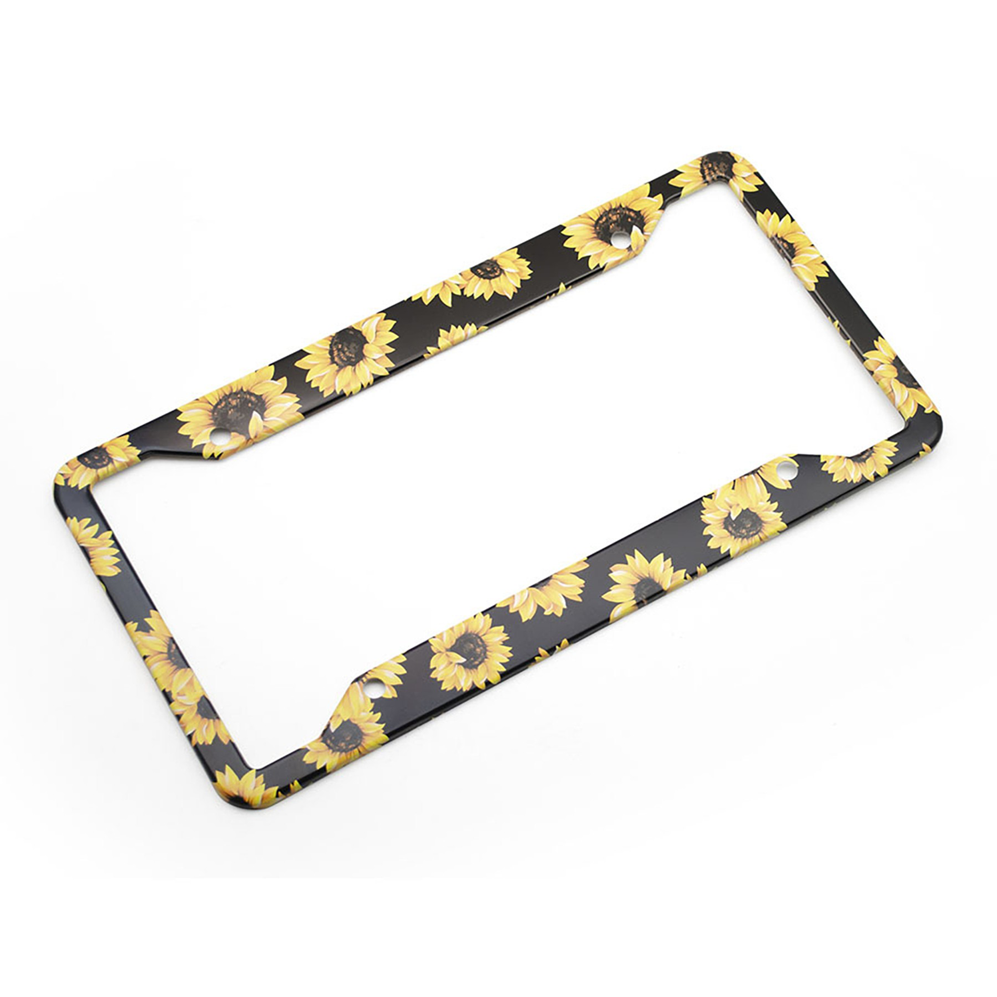 License Plate Frame 5