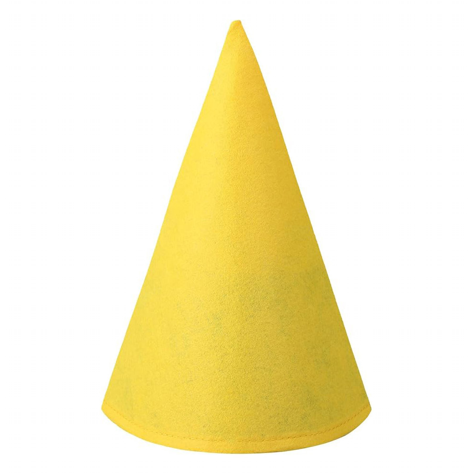 Felt Cone Costume Party Role Play Hat 6