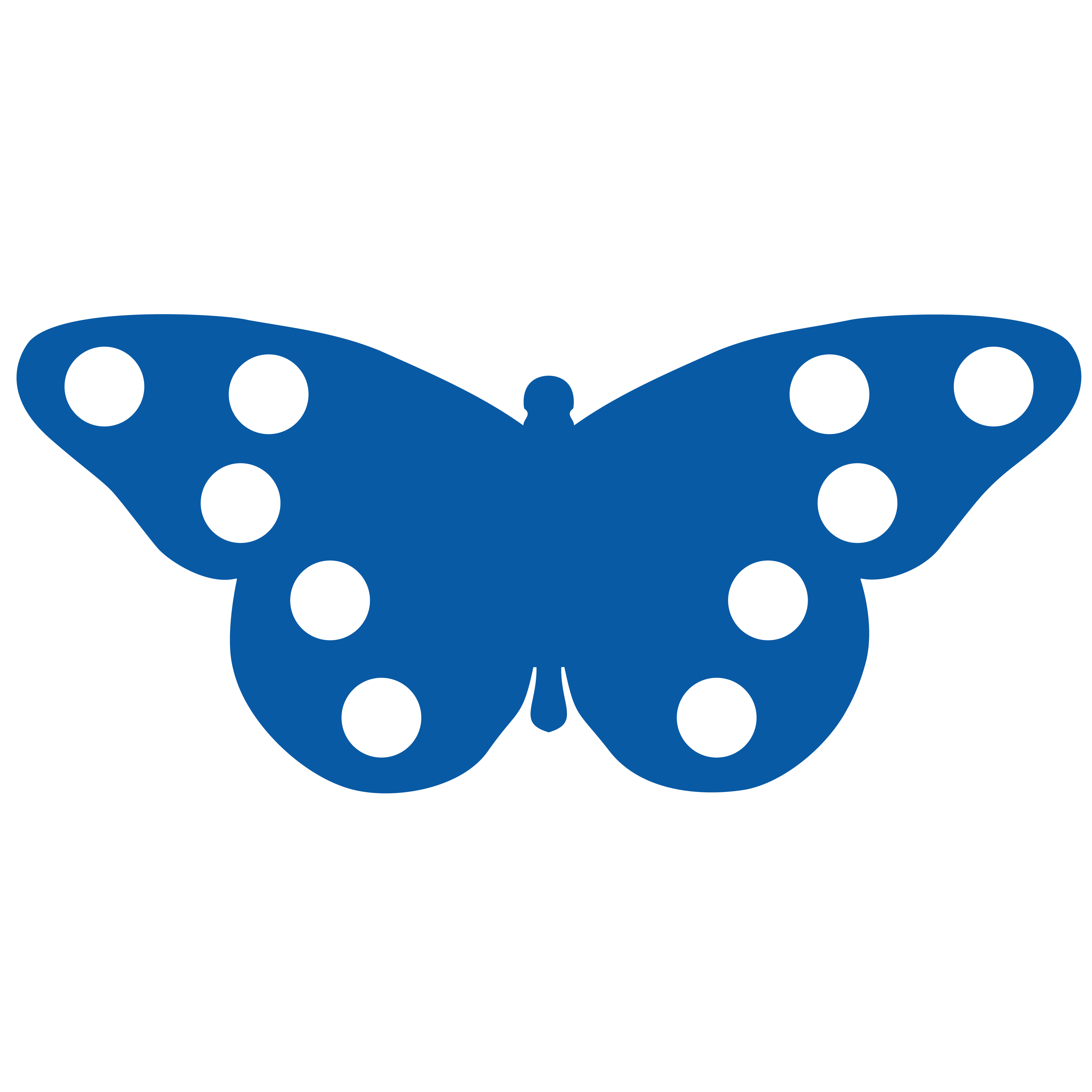 Butterfly Test Tube Floatie 34