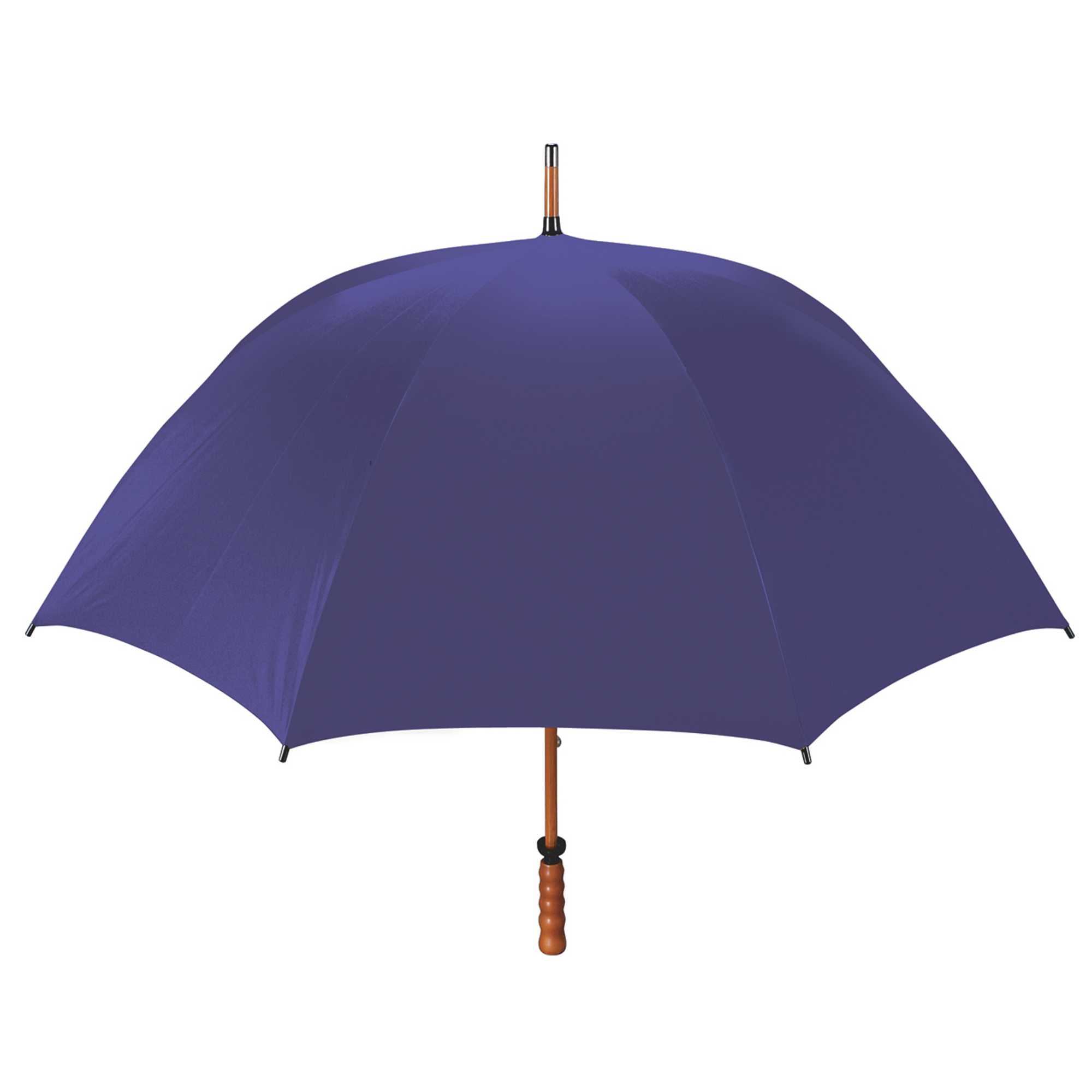 The Eagle Umbrella 46