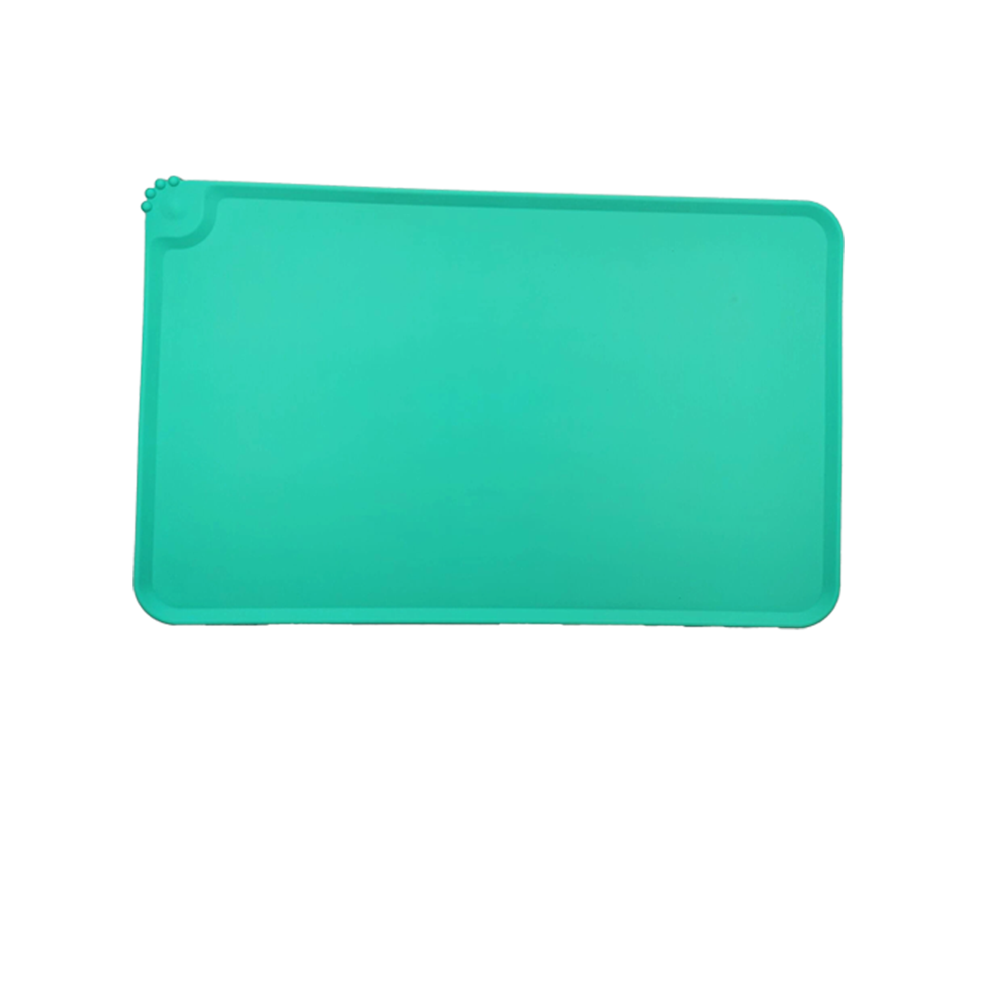 Silicone Pet Food Mat with Grip 13
