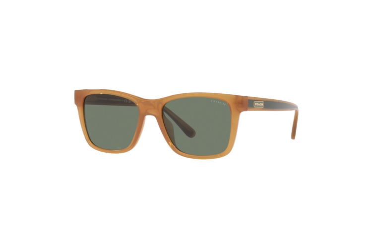 Coach Retro Square Badge Sunglasses 4
