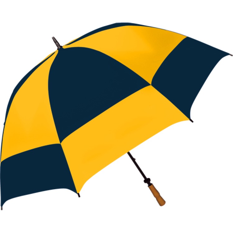 The Checkerboard Golf Umbrella 41