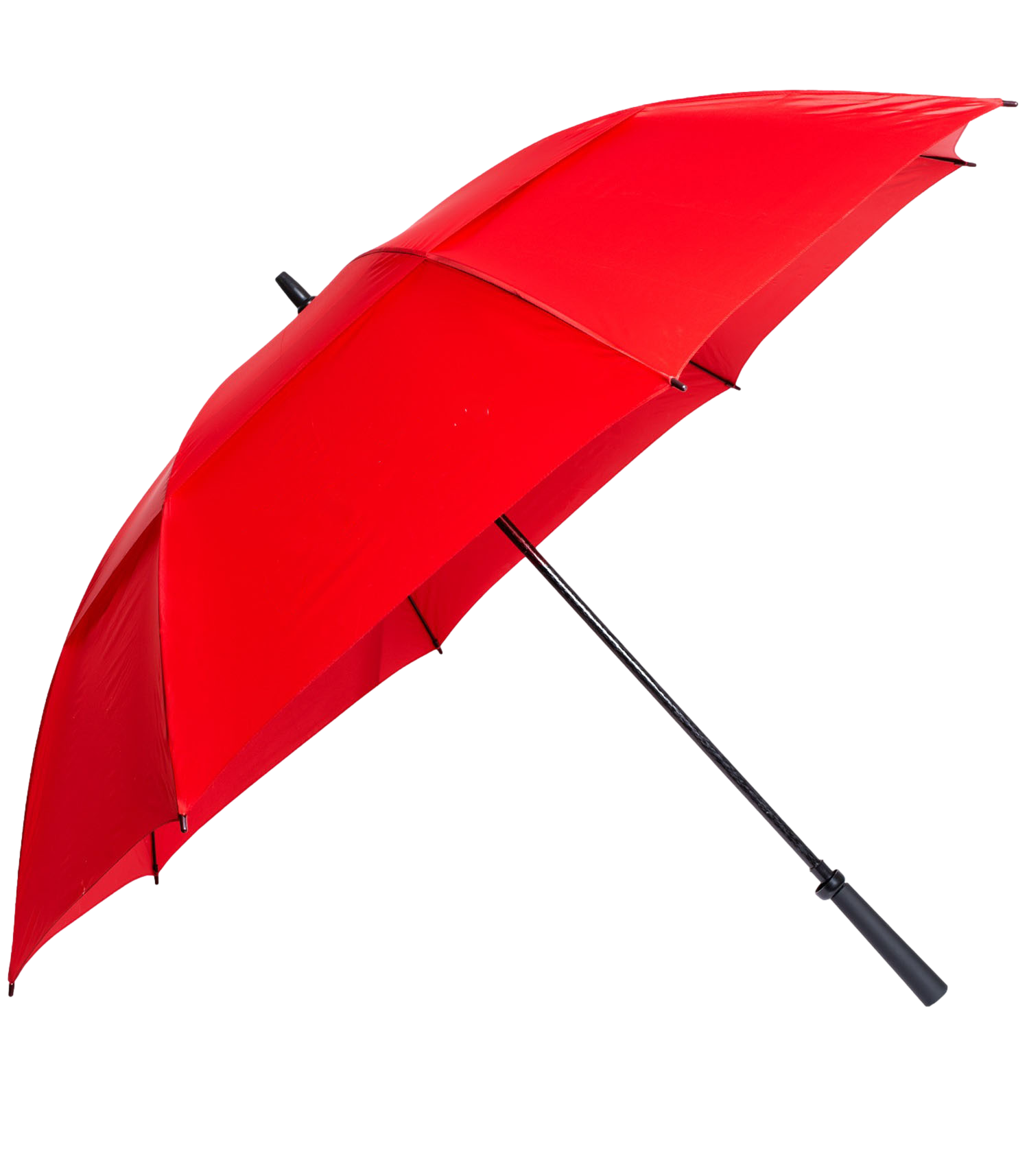The Eagle Umbrella 46
