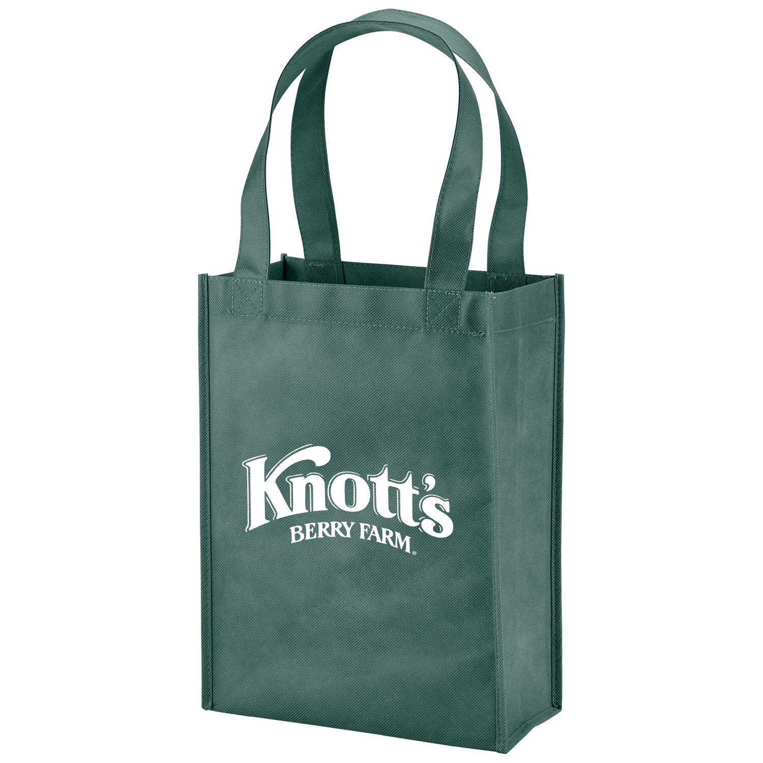Payson Non-Woven Mini Tote Bag 19