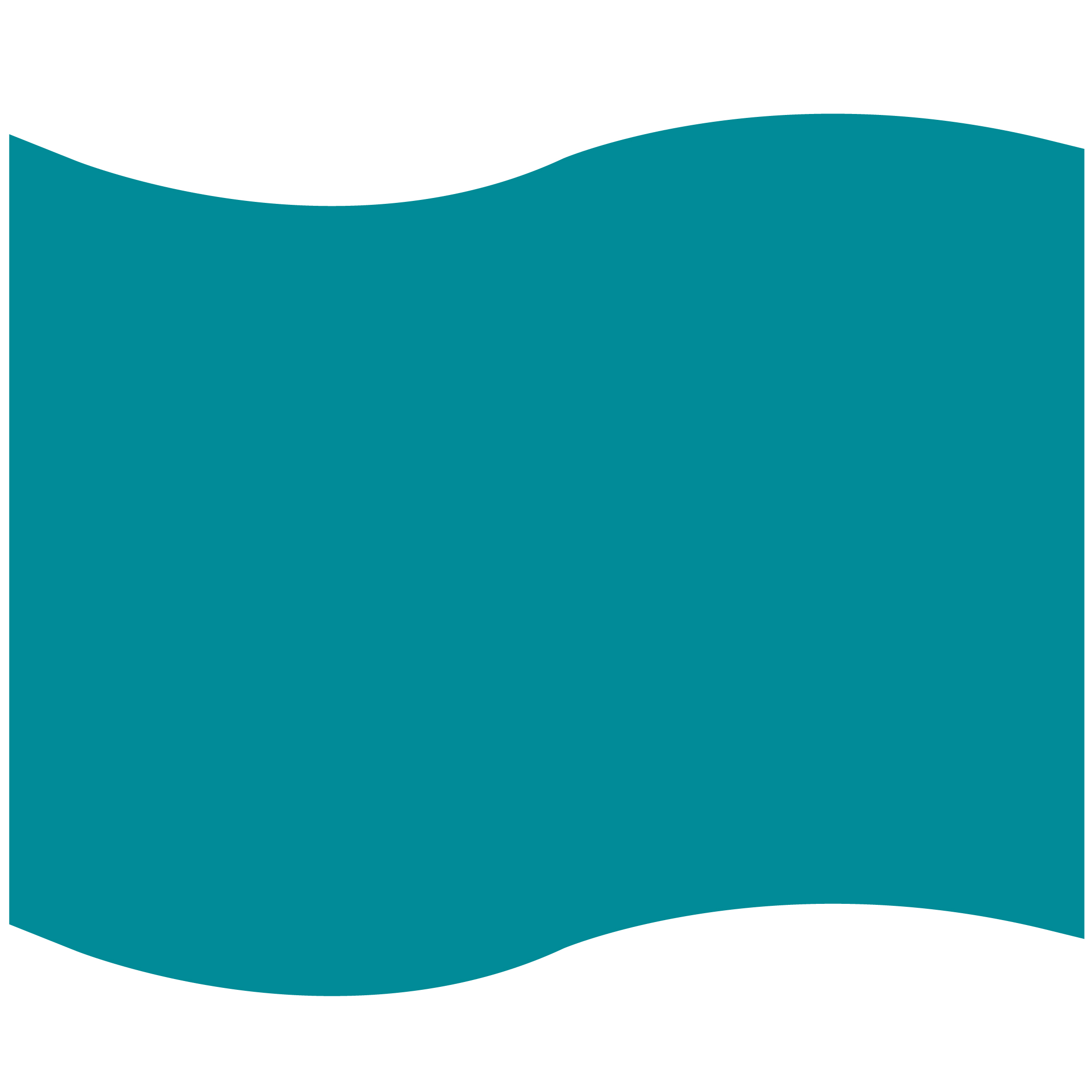 Foam Flag Mitt 53