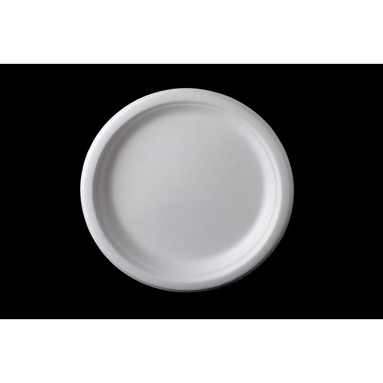 10" Disposable Round Plates - Bagasse 500ct 3