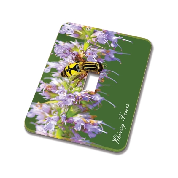 Acrylic Light Switch Cover 10