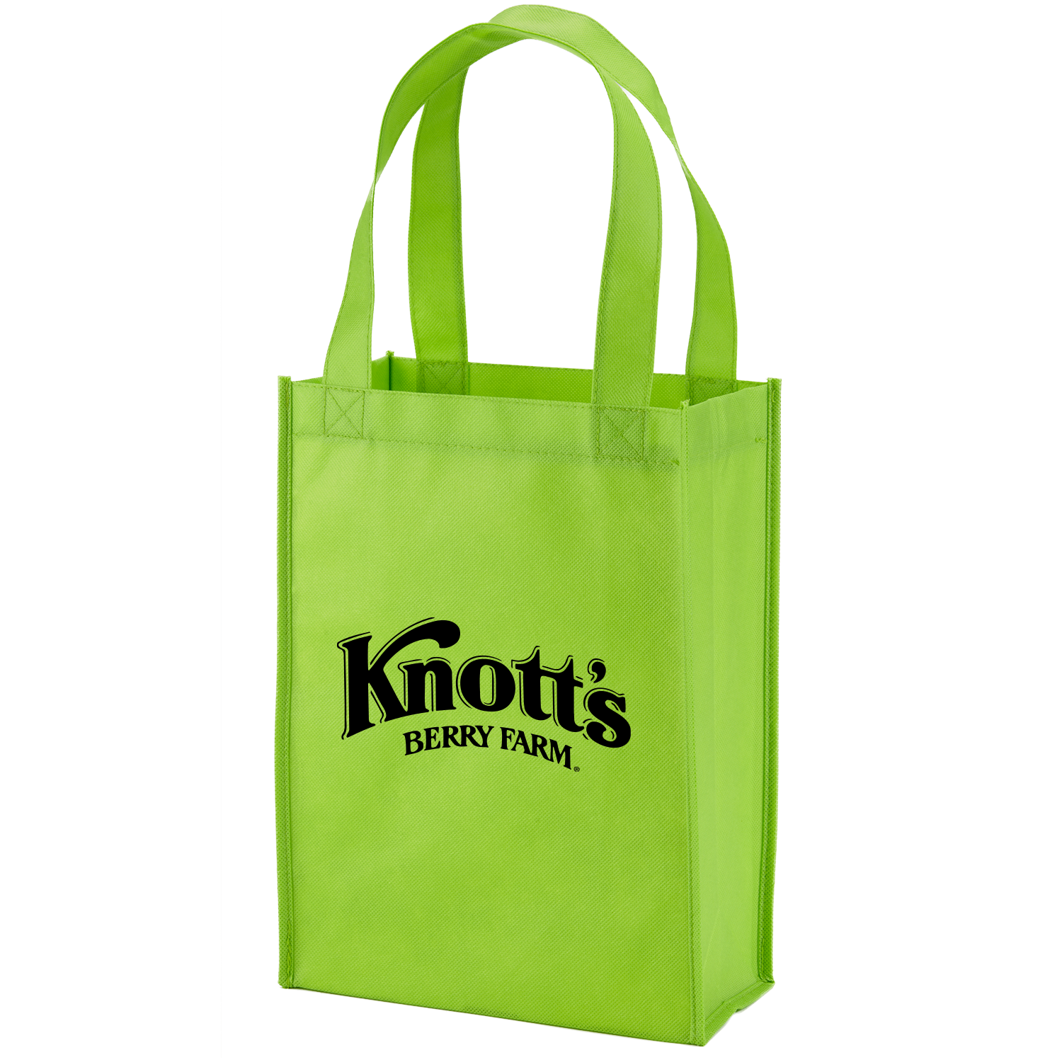 Payson Non-Woven Mini Tote Bag 26