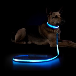 Dog Leash