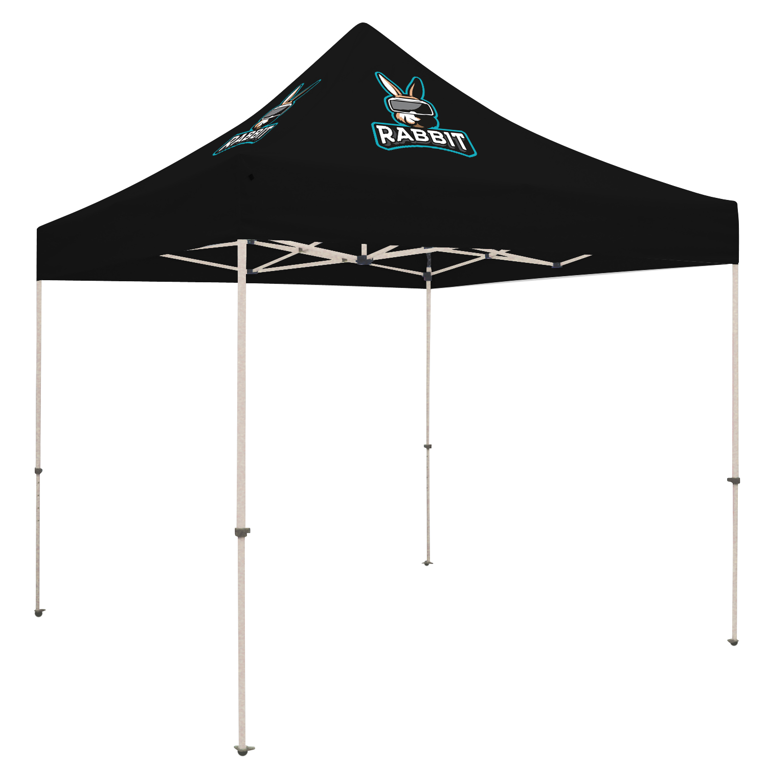 10' Standard Tent Kit (Full-Color Imprint, 2 Locations) 49