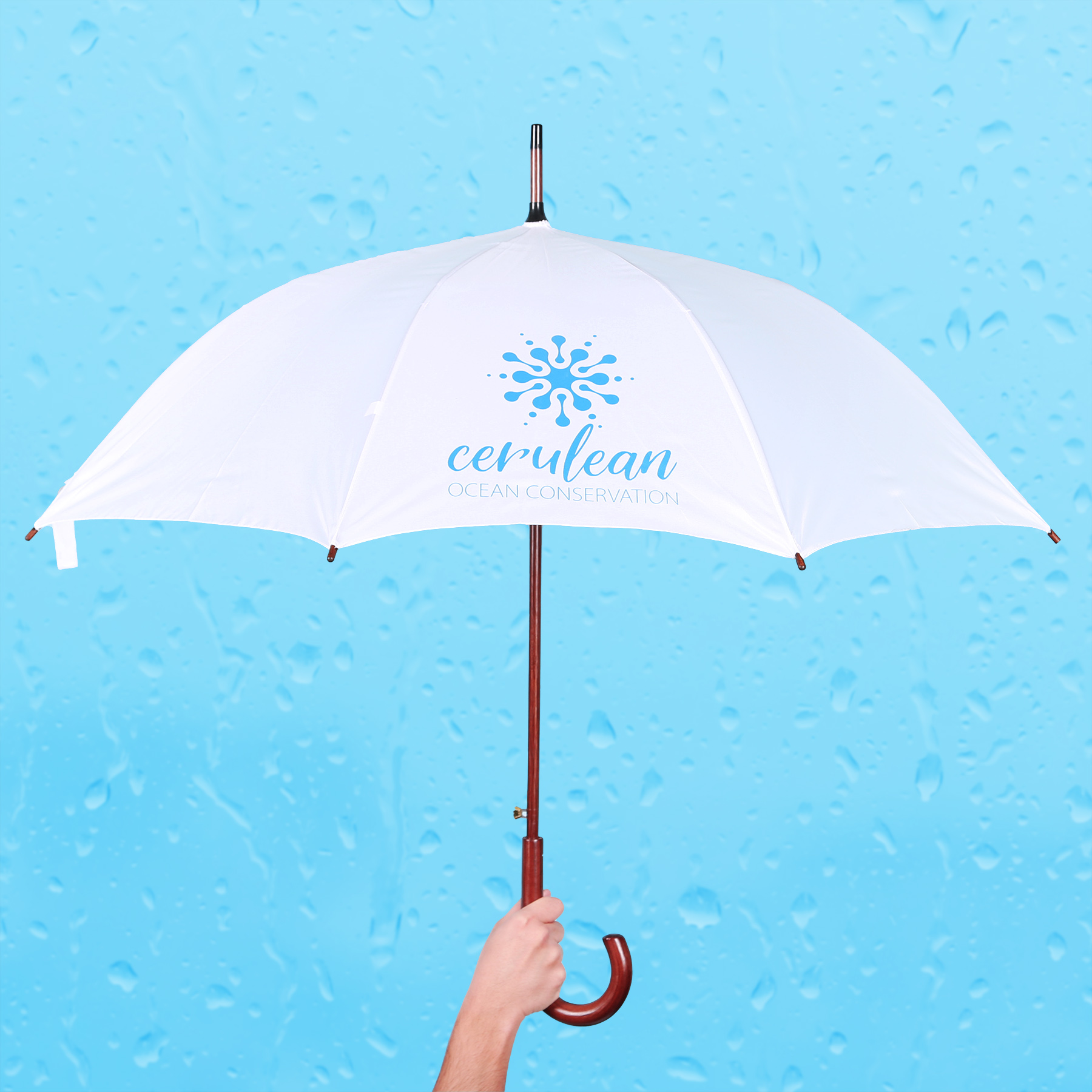 EXECUTIVE UMBRELLA: 48" Arc with Hook Handle 33