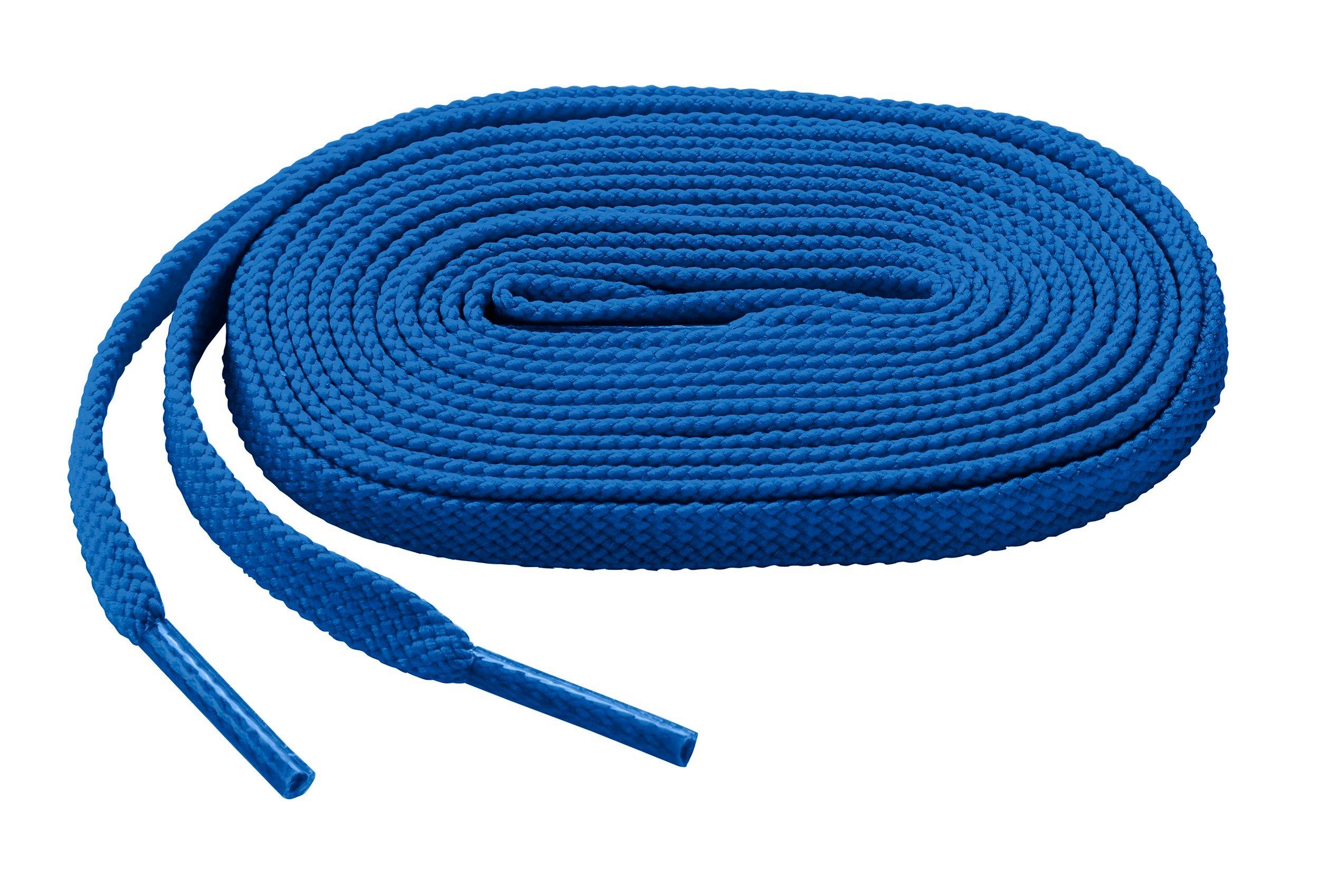 Shoelace 31