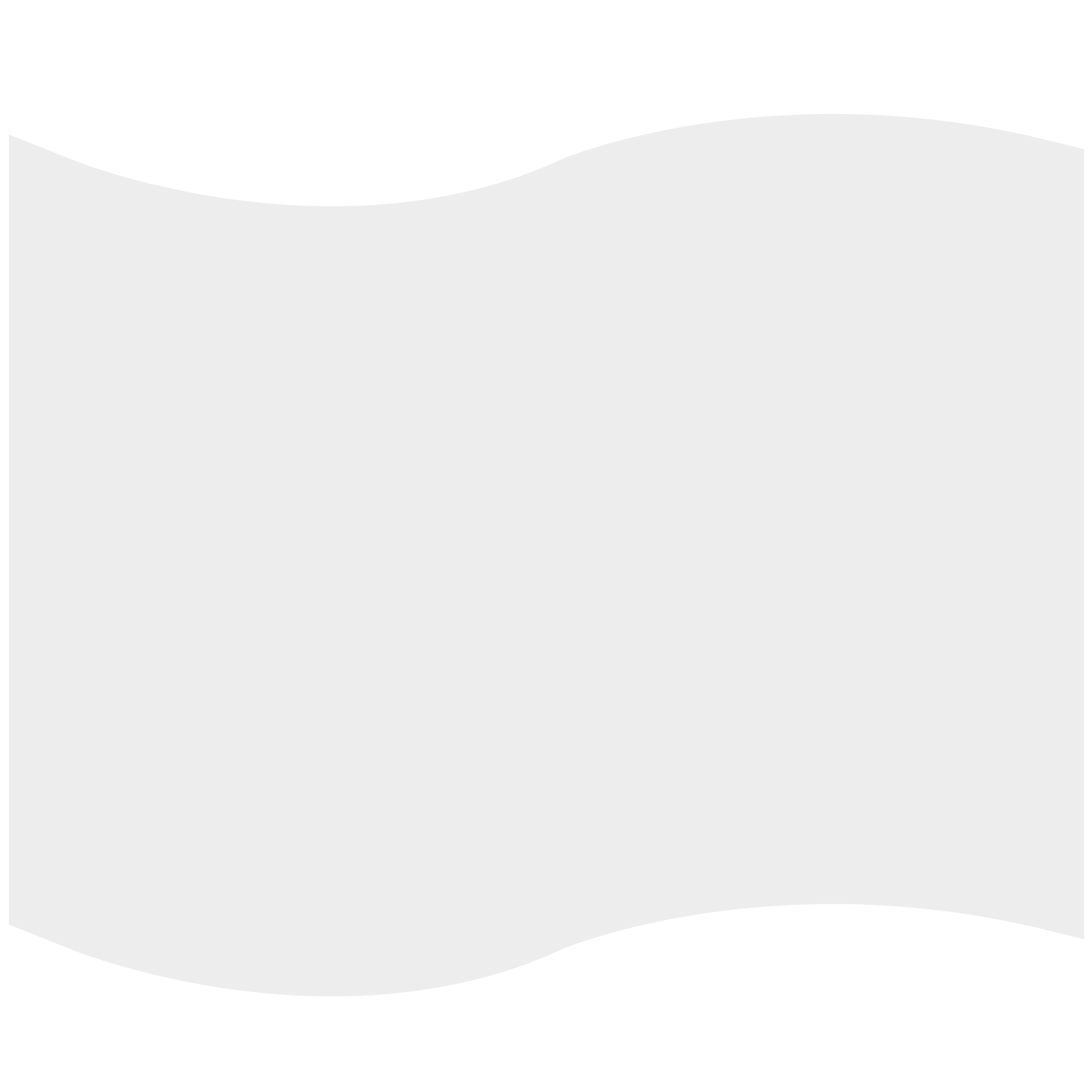 Foam Flag Mitt 47