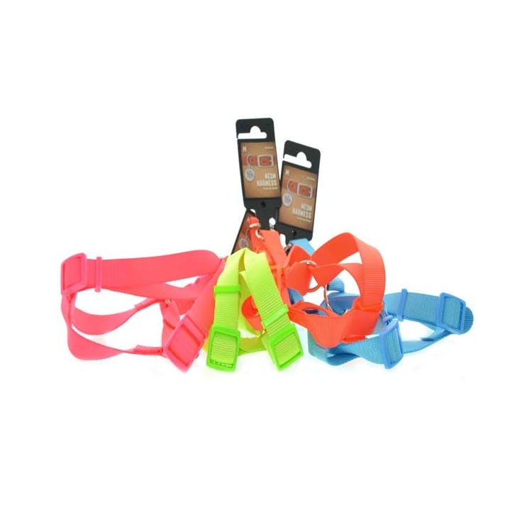 Neon Pet Harnesses - Assorted Medium 3
