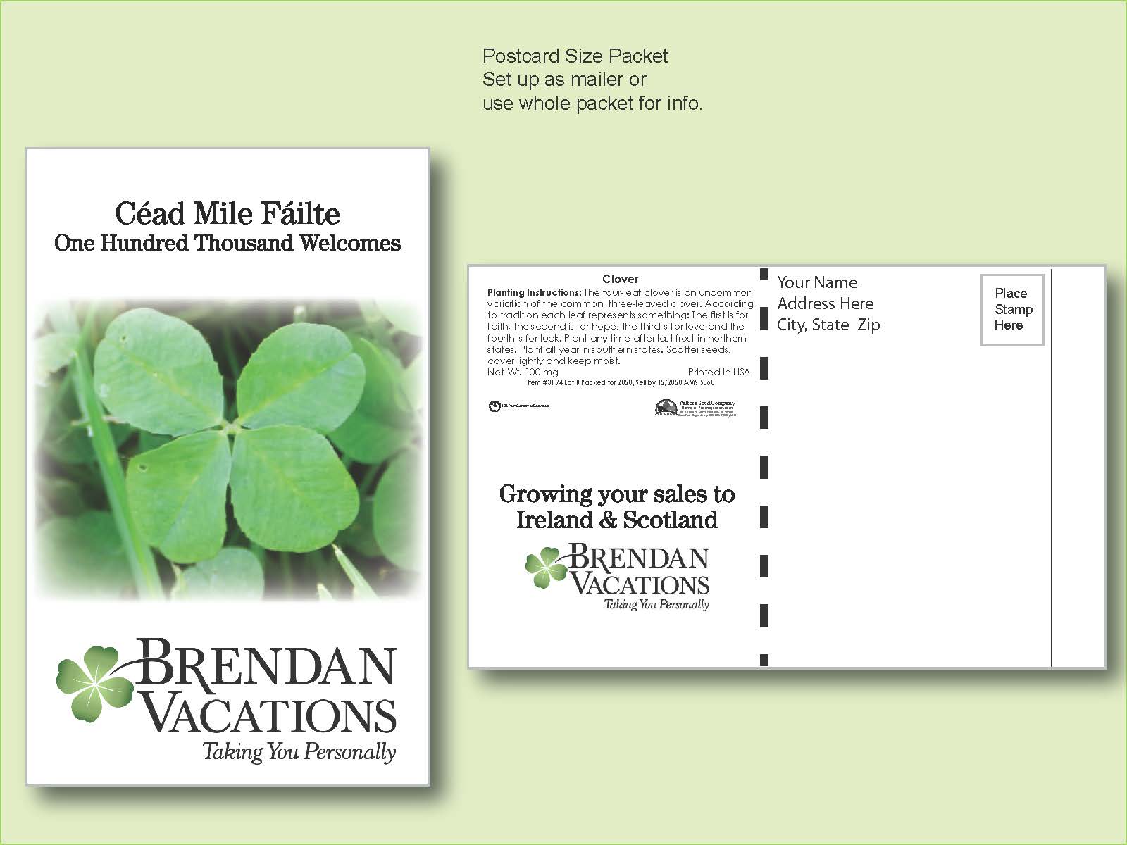 Clover Flower Seed Packet - Postcard Mailer Size 4" x 6.5"