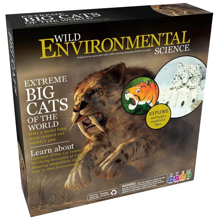 Extreme Big Cats of the World Science Lab Kits - Paints Included 3