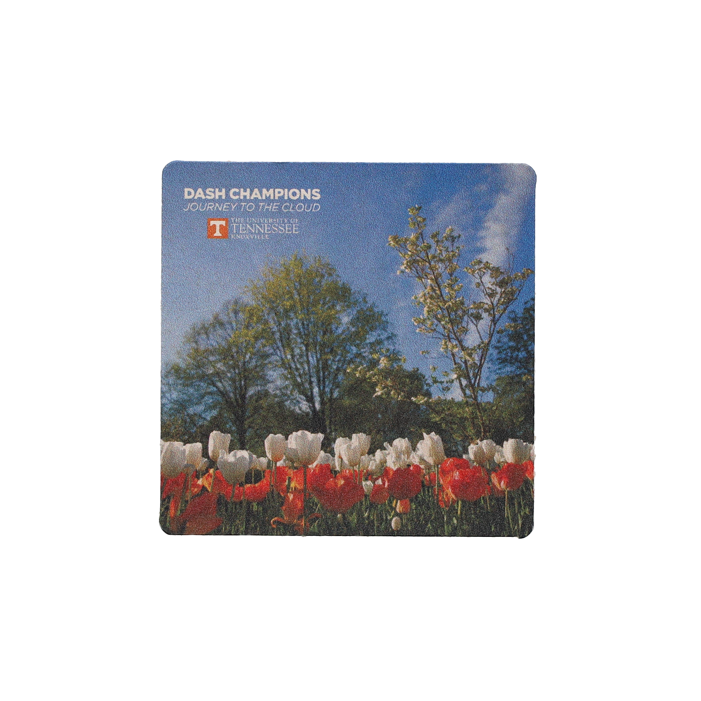 Coaster Pulpboard 80 pt 3.500" Square Digital Print 3