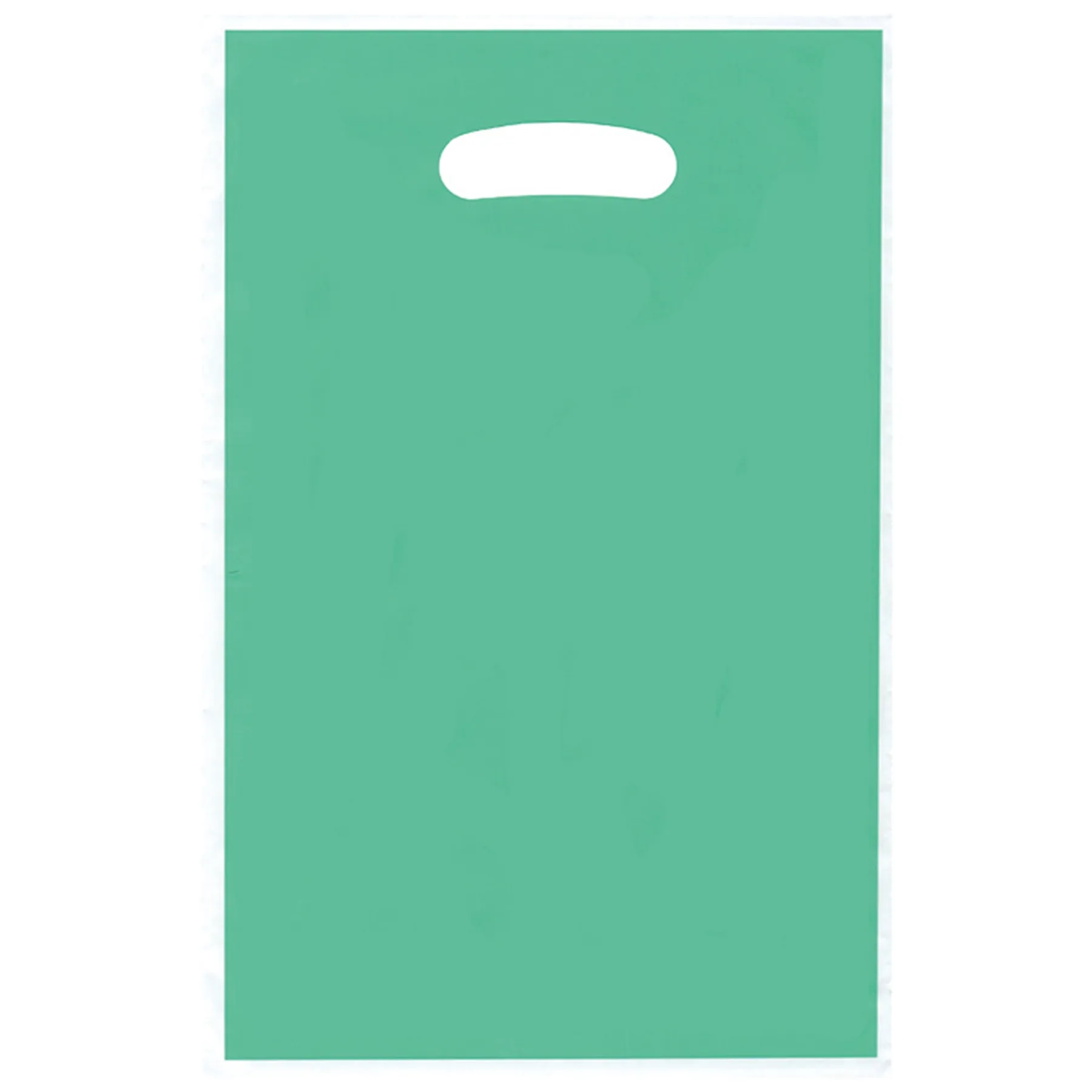 Plastic Shopping Merchandise Gift Bag 25
