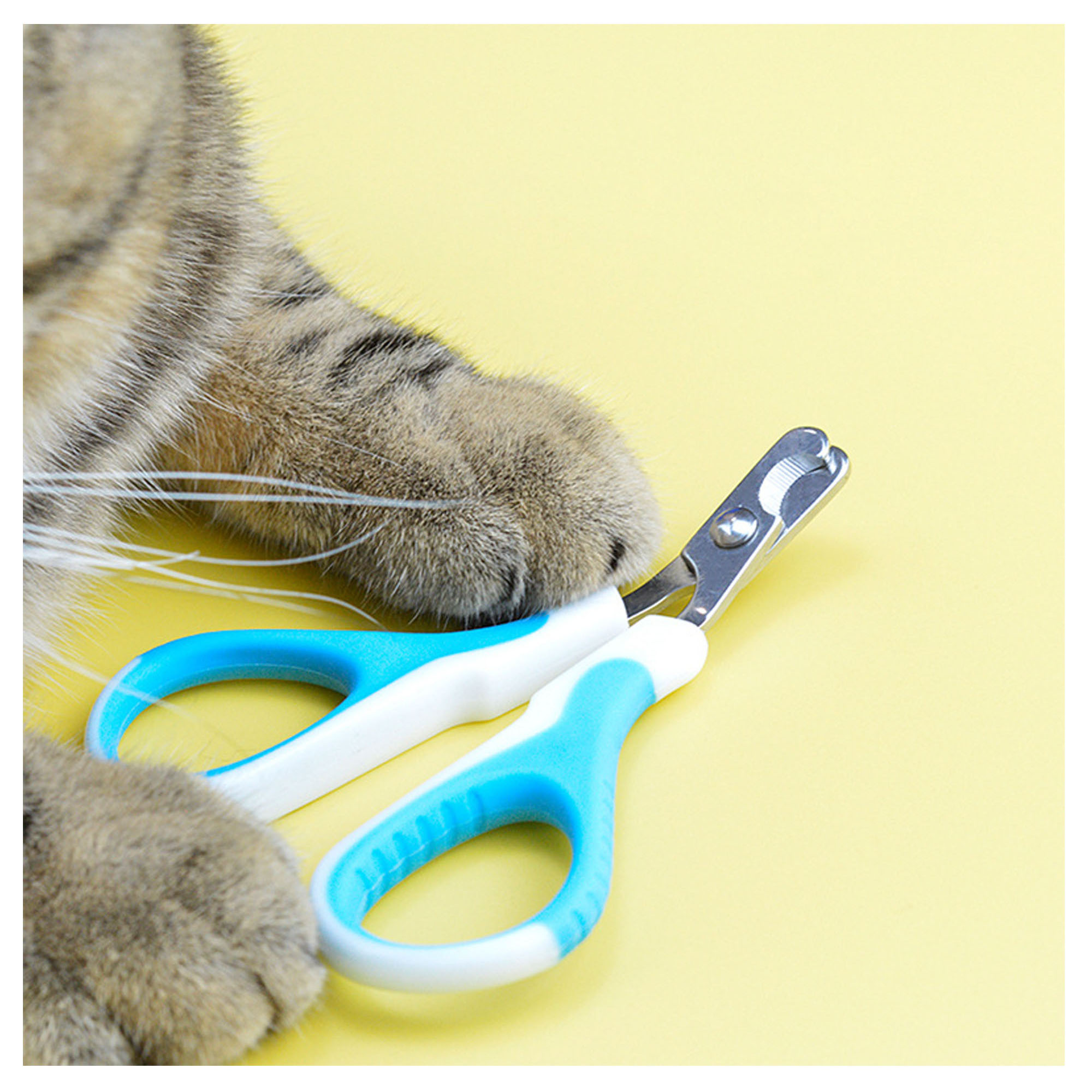Easy-to-Use Guard Cat Nail Clippers for Painless Trimming 6