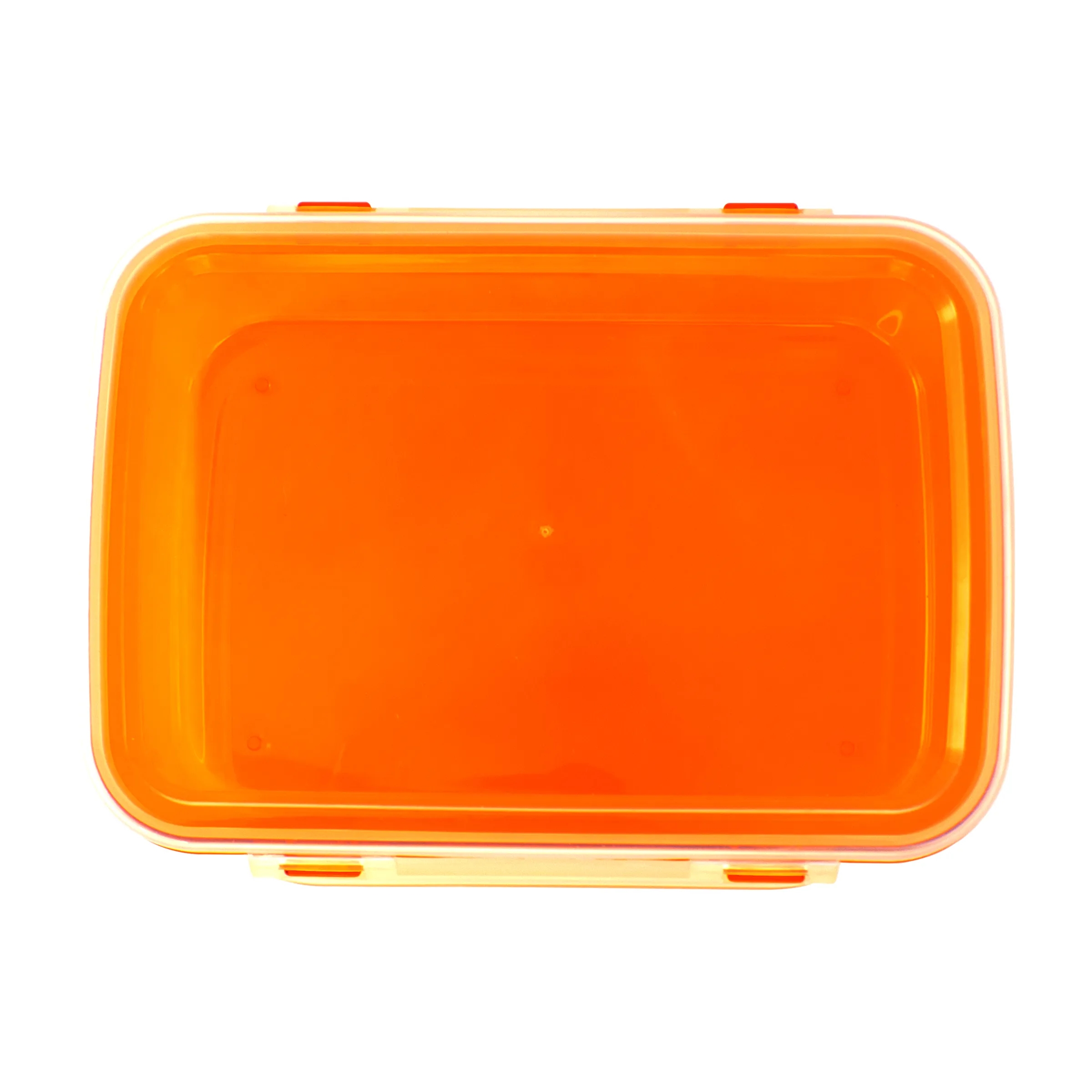 Full Color Clip Top Lunch Container 20