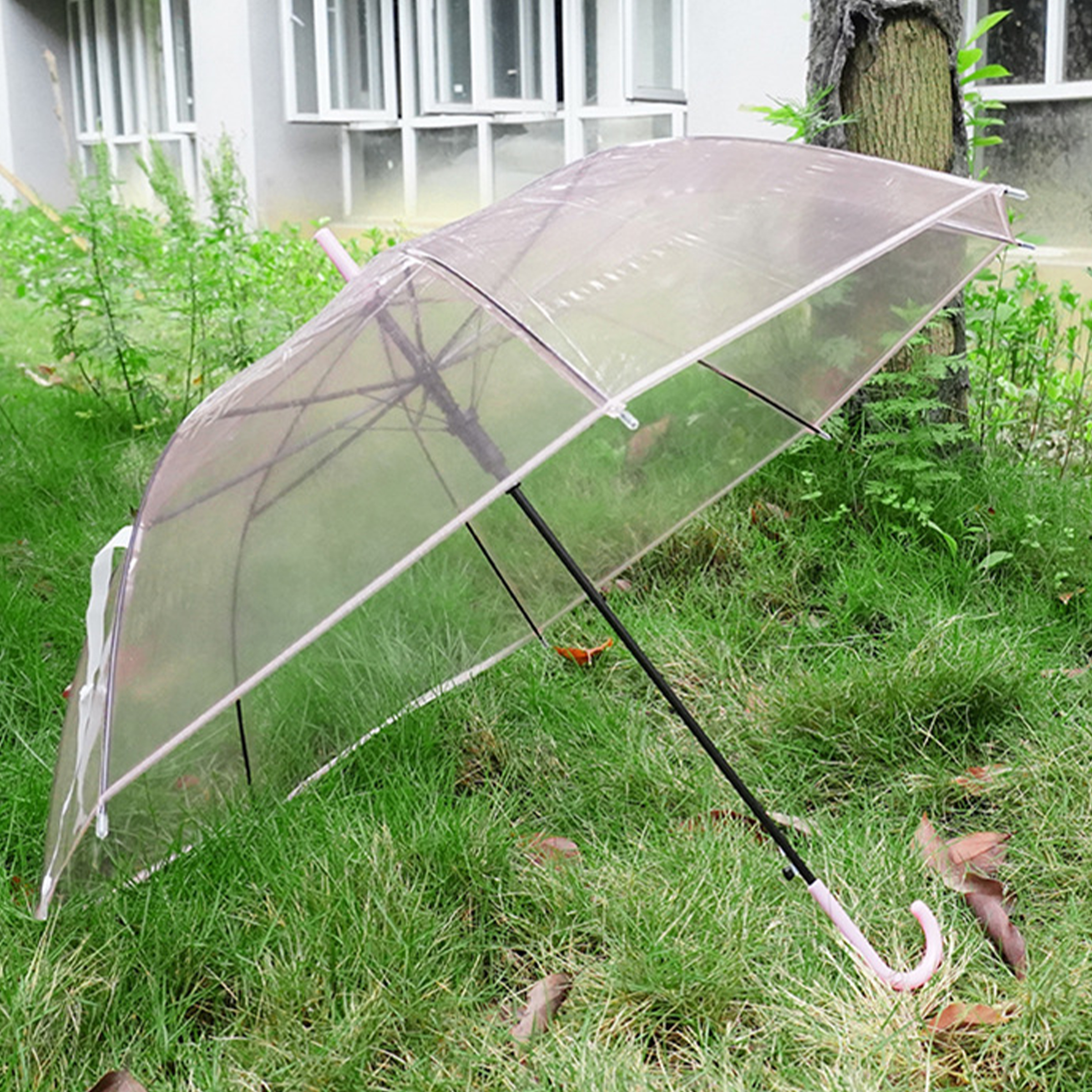 Pvc Creative Transparent Colored Umbrella 9