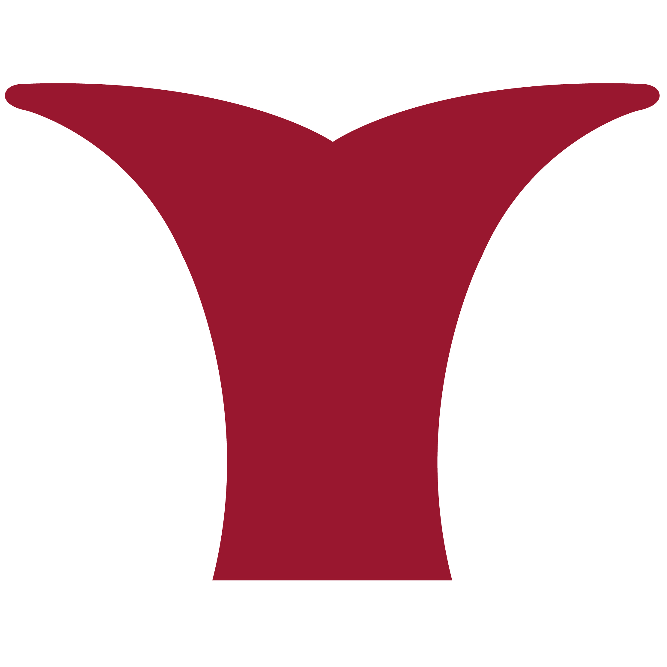 Whale Tail 52