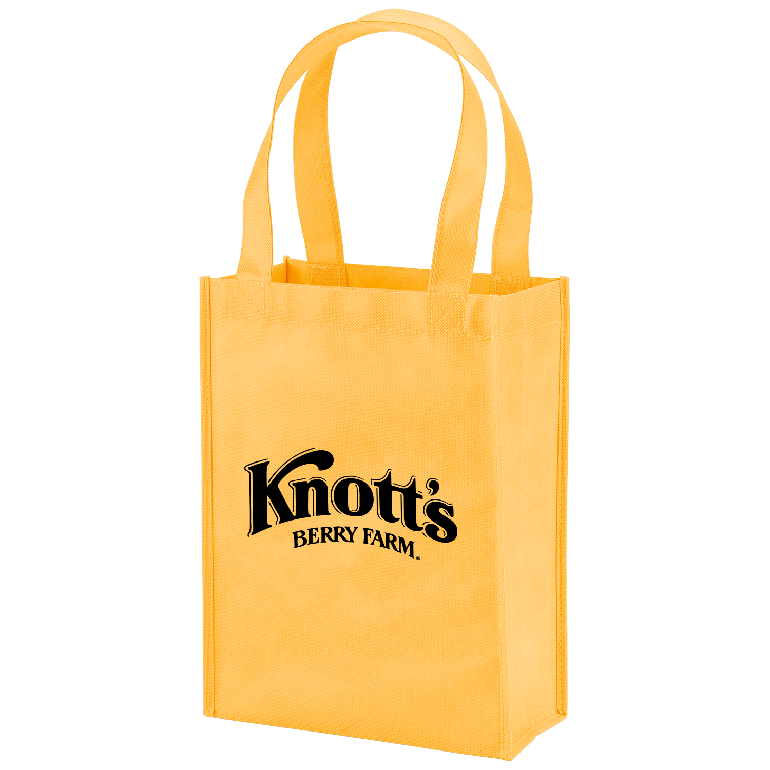 Payson Non-Woven Mini Tote Bag 17