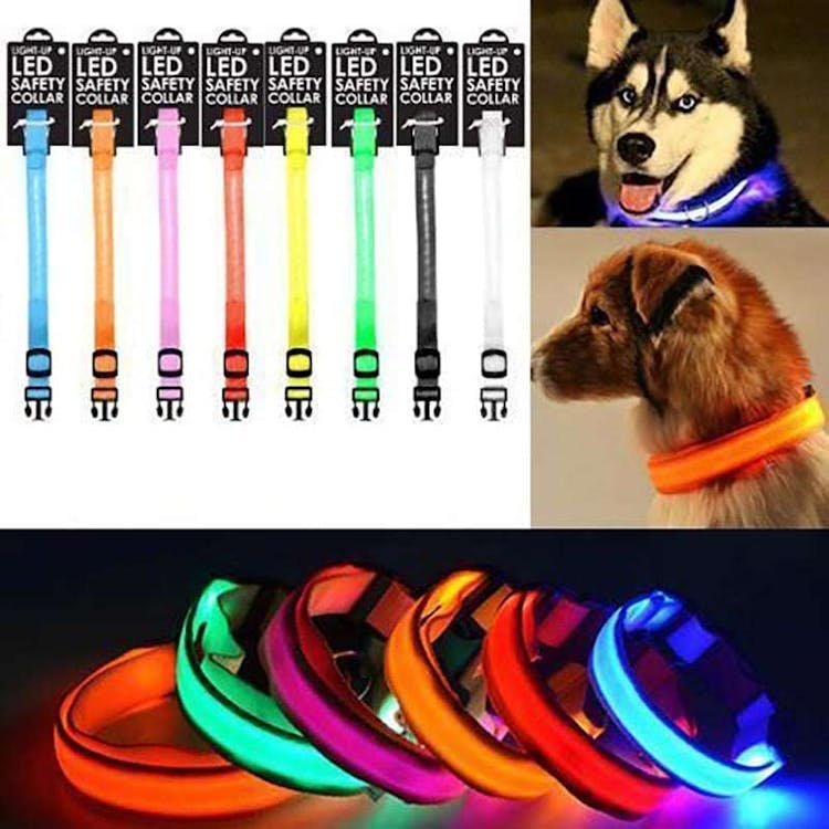 Led Dog Collars - 8 Colors 3