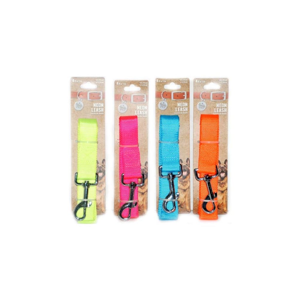 Large Leashes - Assorted 66" 3