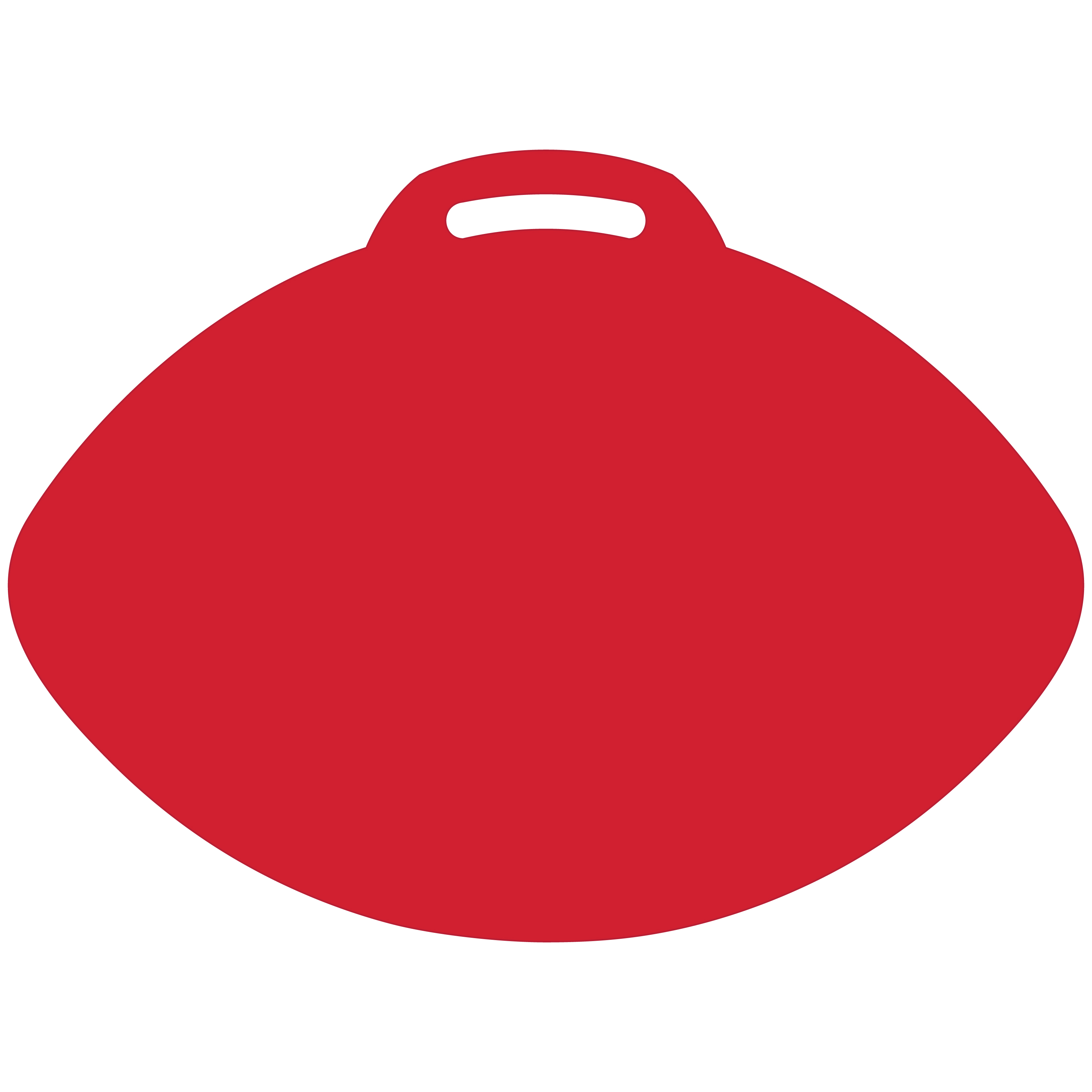 Football-Shaped Vinyl Stadium Cushion (18") 41