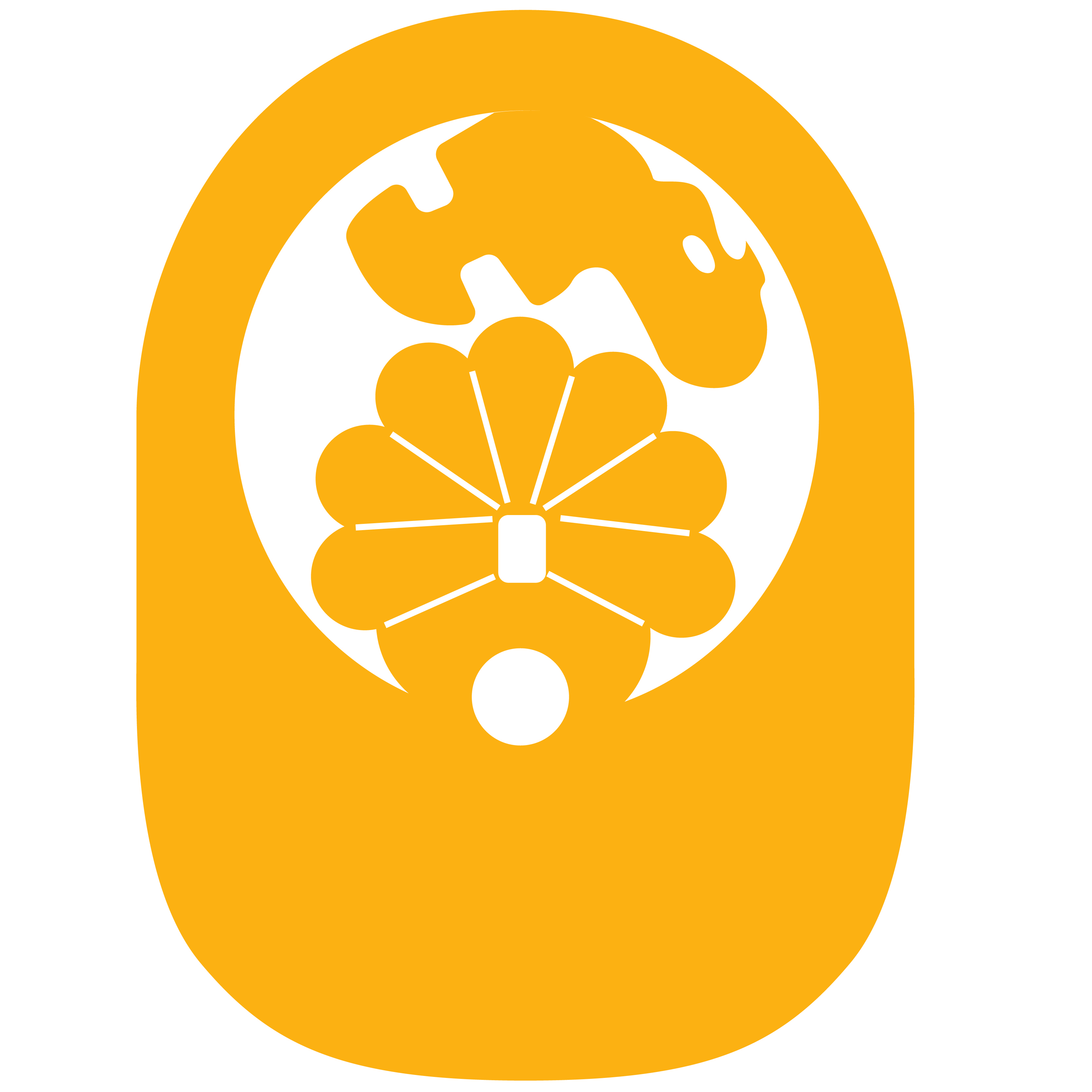 Turkey PopUp Visor 72