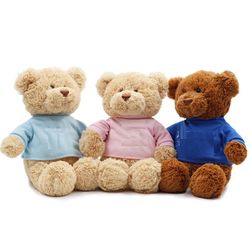 Custom Stuffed Bear