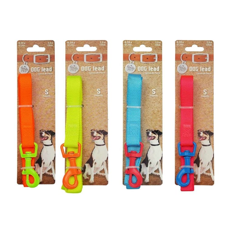 Dog Leashes - Neon Small 3