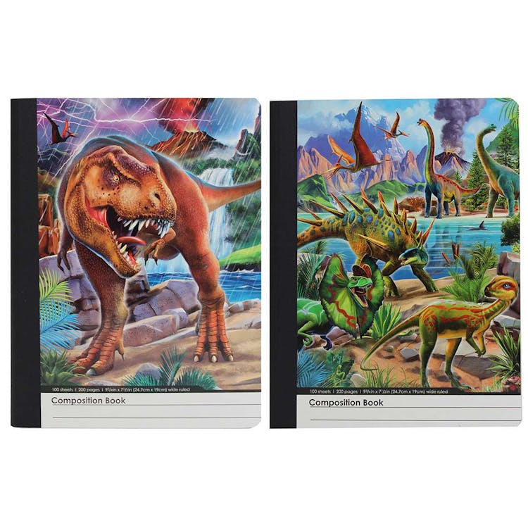 Dinosaurs Composition Notebooks - Assorted 3