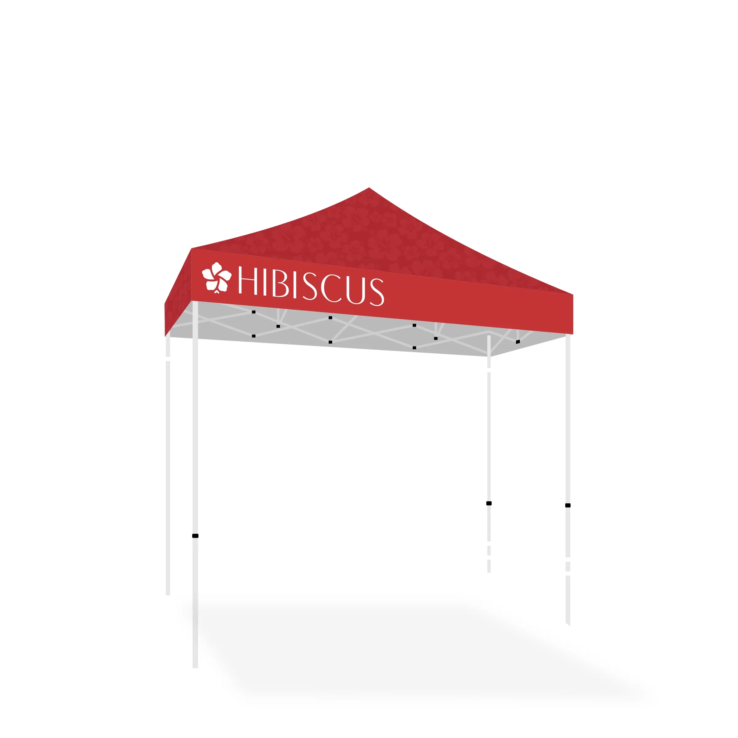 10' X 10' Tent w/ Full Color Canopy 9