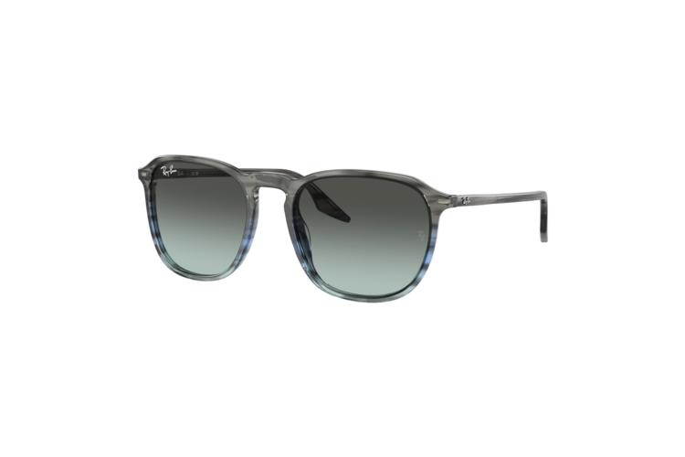 Ray-Ban RB2203 Sunglasses 4
