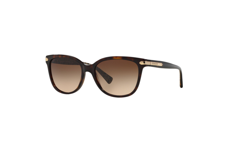 Coach Women's HC8132 Sunglasses 3