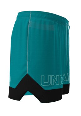UA Icon Mesh Men's 5 Shorts 20