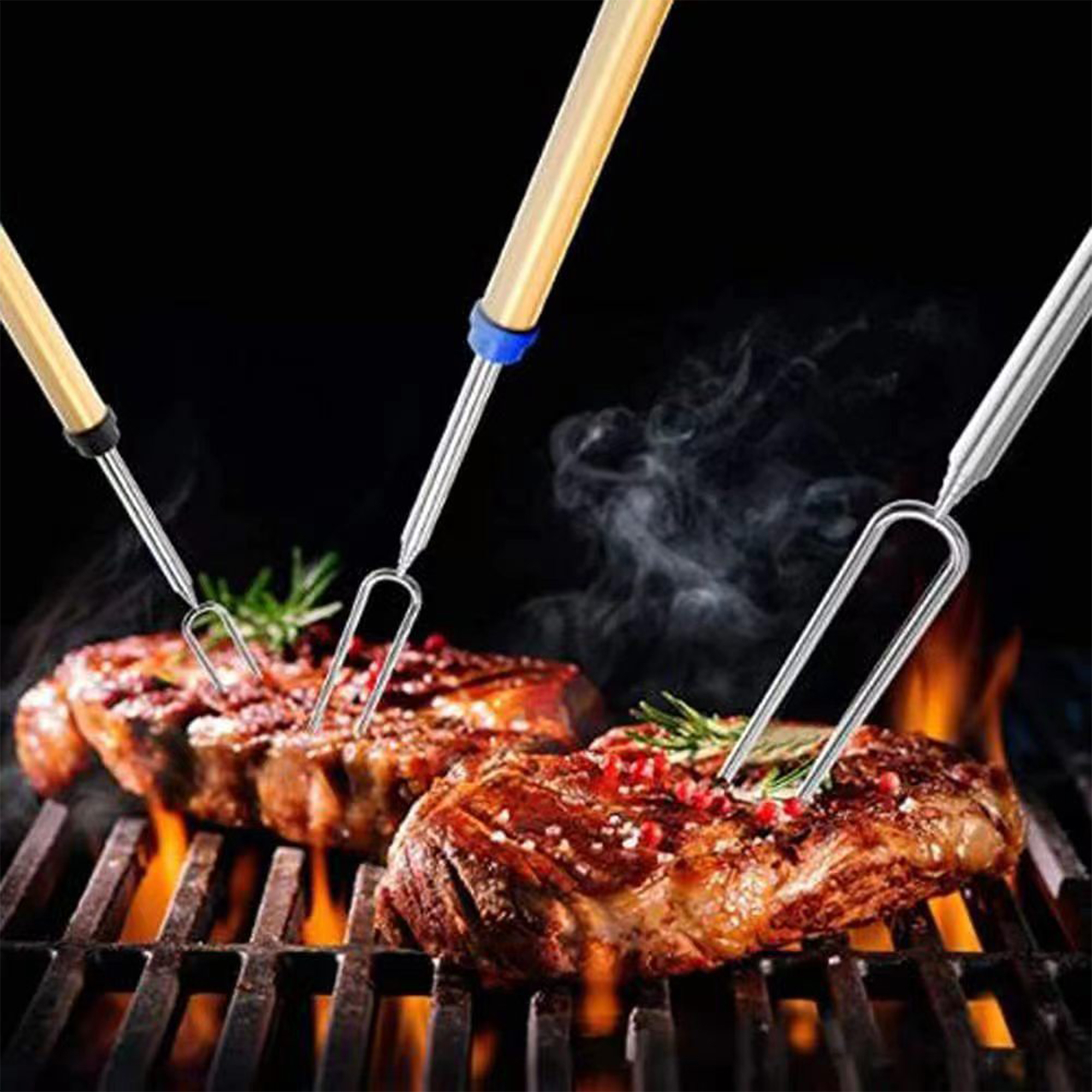 Telescopic Barbecue Skewer Fork With Wooden Handle 23