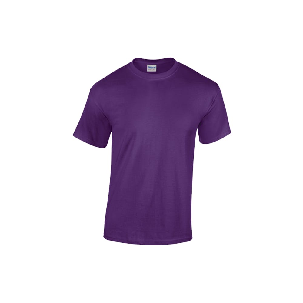 Gildan T-Shirts - Purple Small