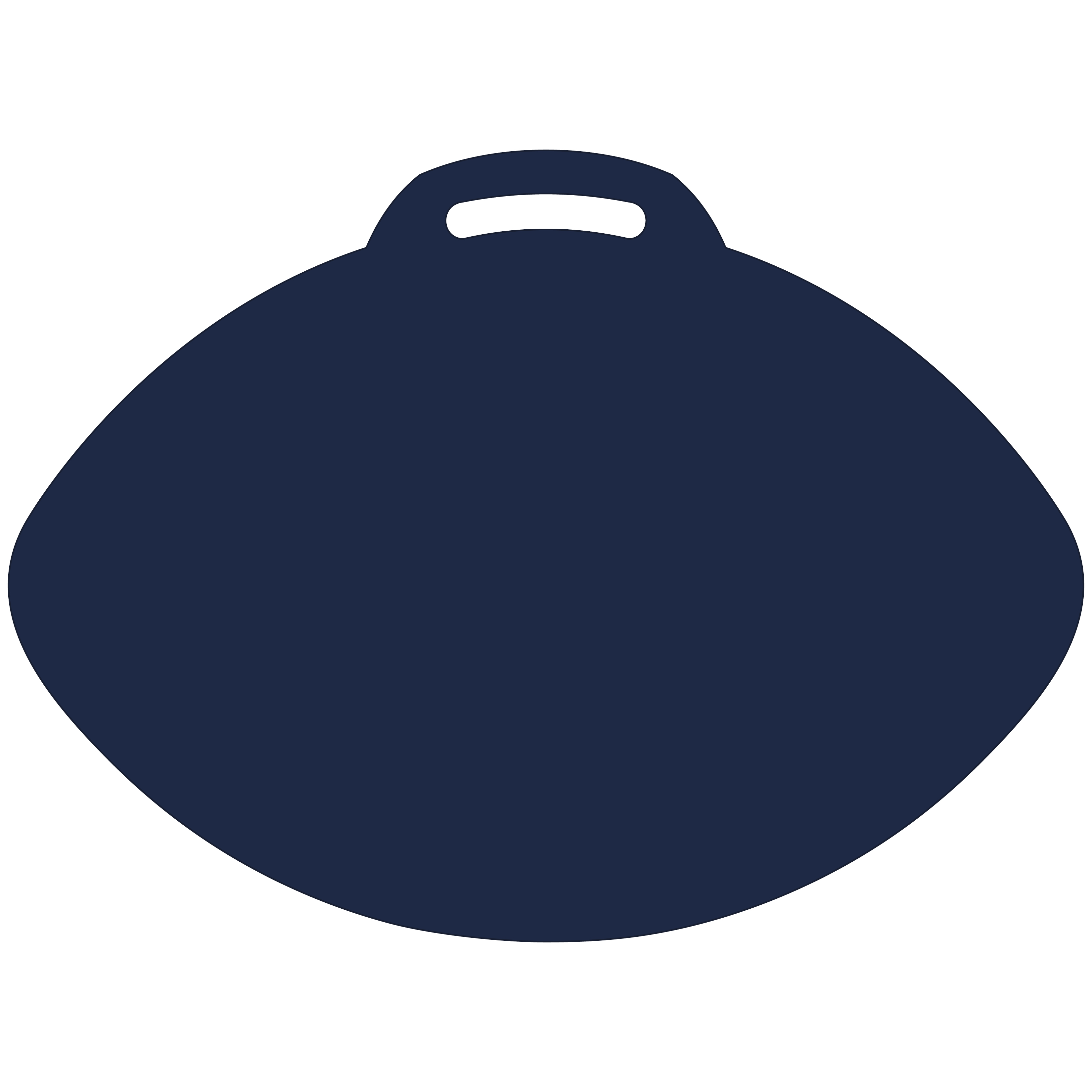 Football-Shaped Vinyl Stadium Cushion (18") 44